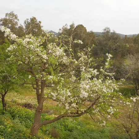 Farm stay Marongiu *