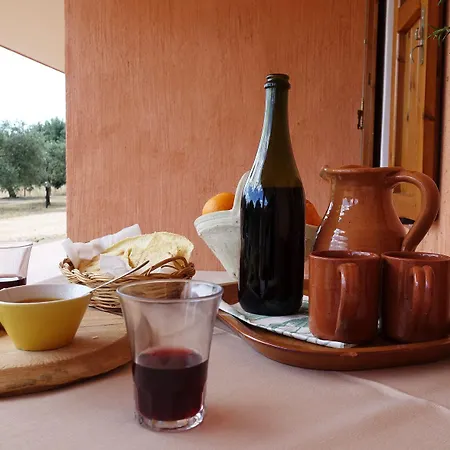 Marongiu Séjour à la ferme