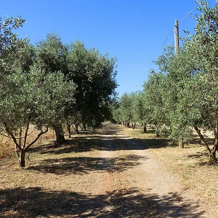 Marongiu Séjour à la ferme *