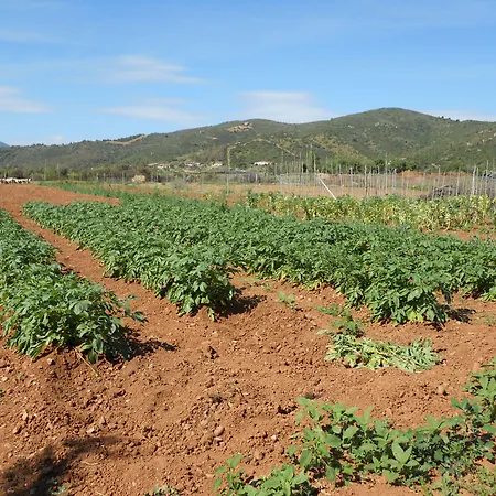 Séjour à la ferme Marongiu