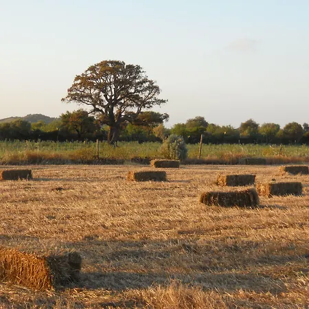 Marongiu Séjour à la ferme Villaputzu